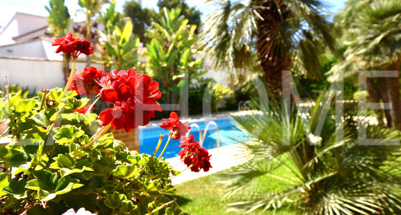 Leben Sie im Mittelmeer-Stil! Haus mit Pool und Garten im Villenviertel Valencias, La Cañada