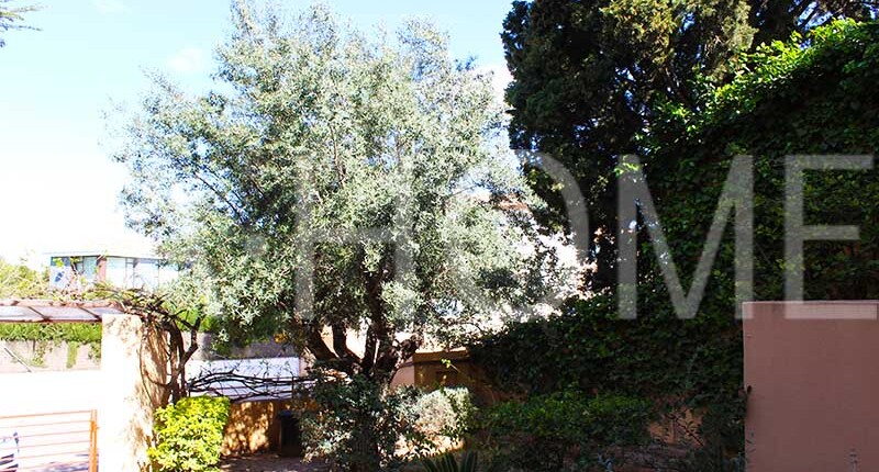 Außergewöhnliches Haus zum Kauf, Valencia – La Cañada