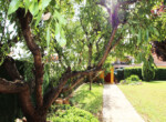 15937084420327VE 800X500 43