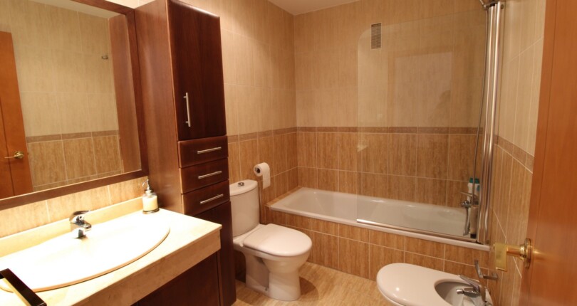 Wohnung zum Verkauf in Valencia, Alfahuir   |  Repräsentative Wohnanlage
